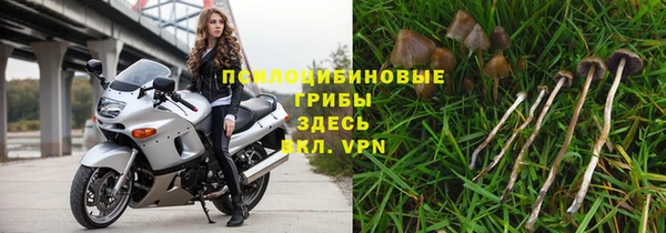 стаф Балабаново