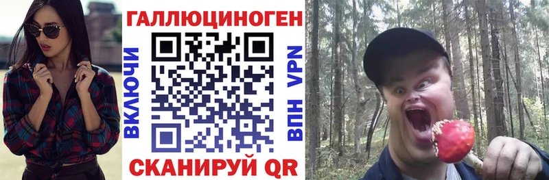 hydra как зайти  Унеча  Галлюциногенные грибы MAGIC MUSHROOMS 