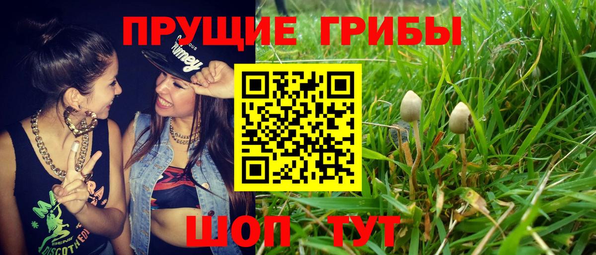 Галлюциногенные грибы MAGIC MUSHROOMS  Вход с VPN  Галлюциногенные грибы мухоморы  Унеча 