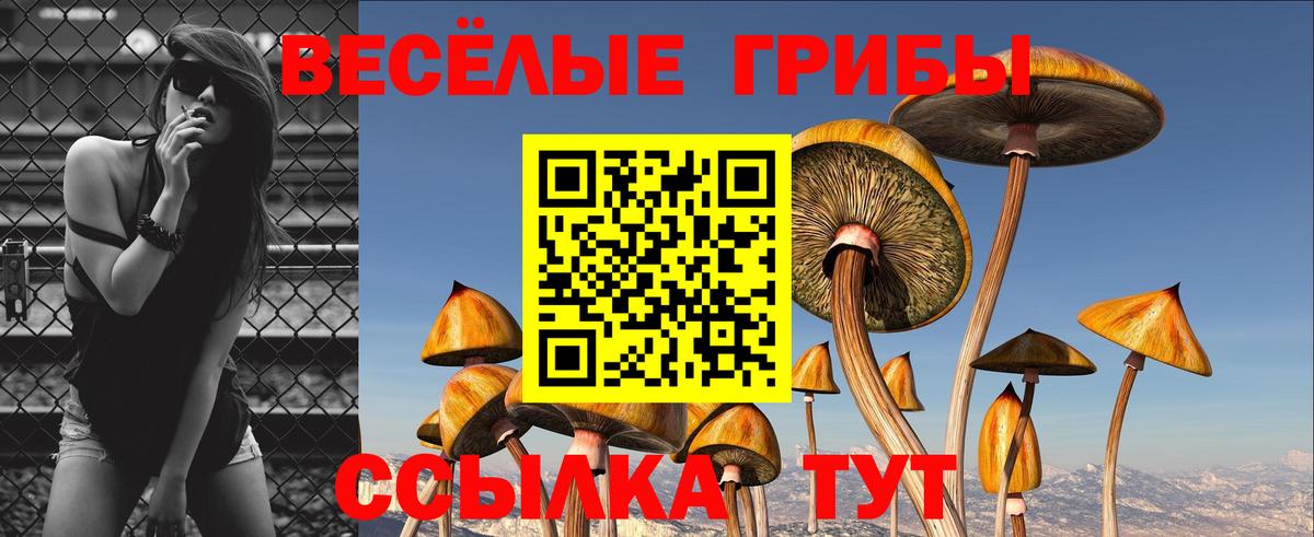 Псилоцибиновые грибы прущие грибы  Вход с VPN  Псилоцибиновые грибы прущие грибы  купить наркотик  Унеча 