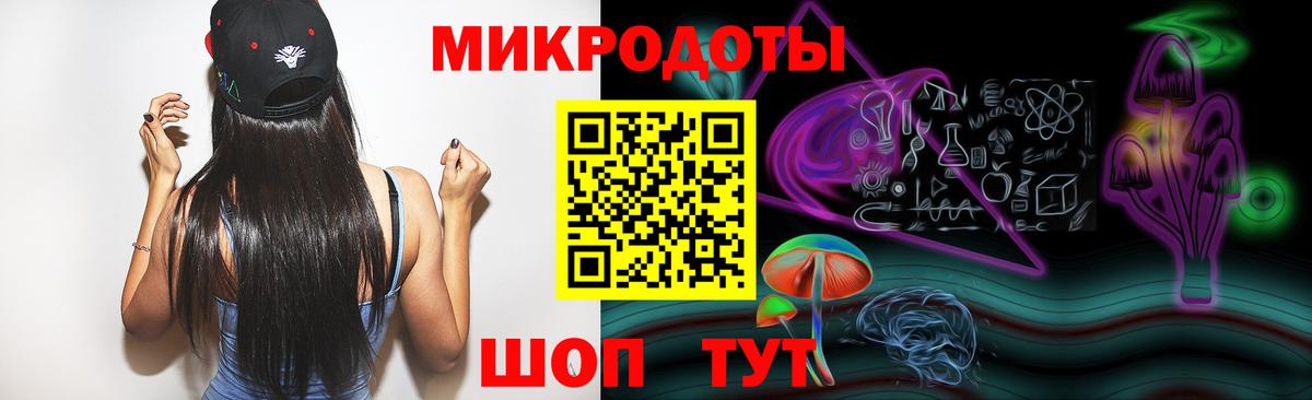 Псилоцибиновые грибы Psilocybine cubensis Унеча